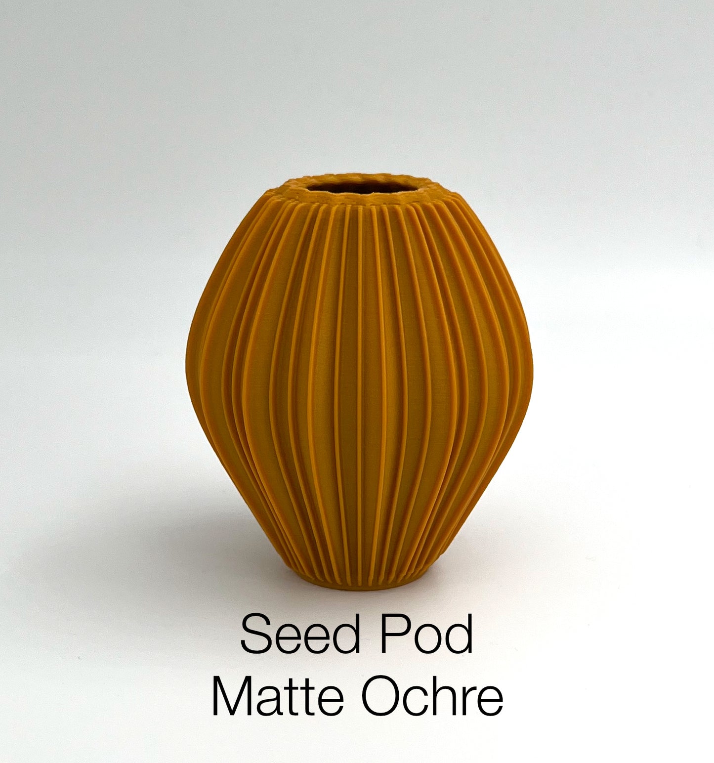 Seed Pod Matte Ochre
