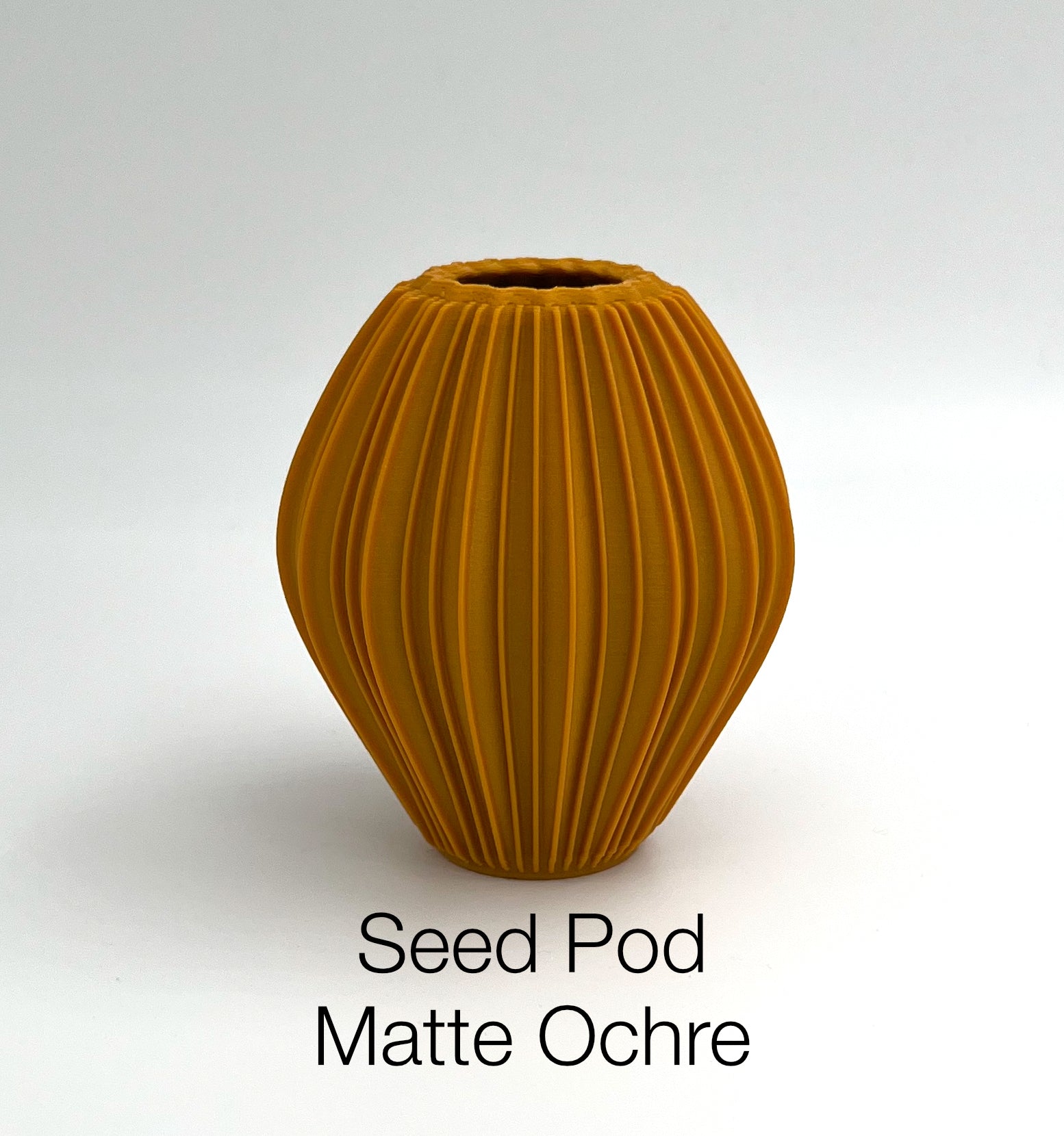 Seed Pod Matte Ochre